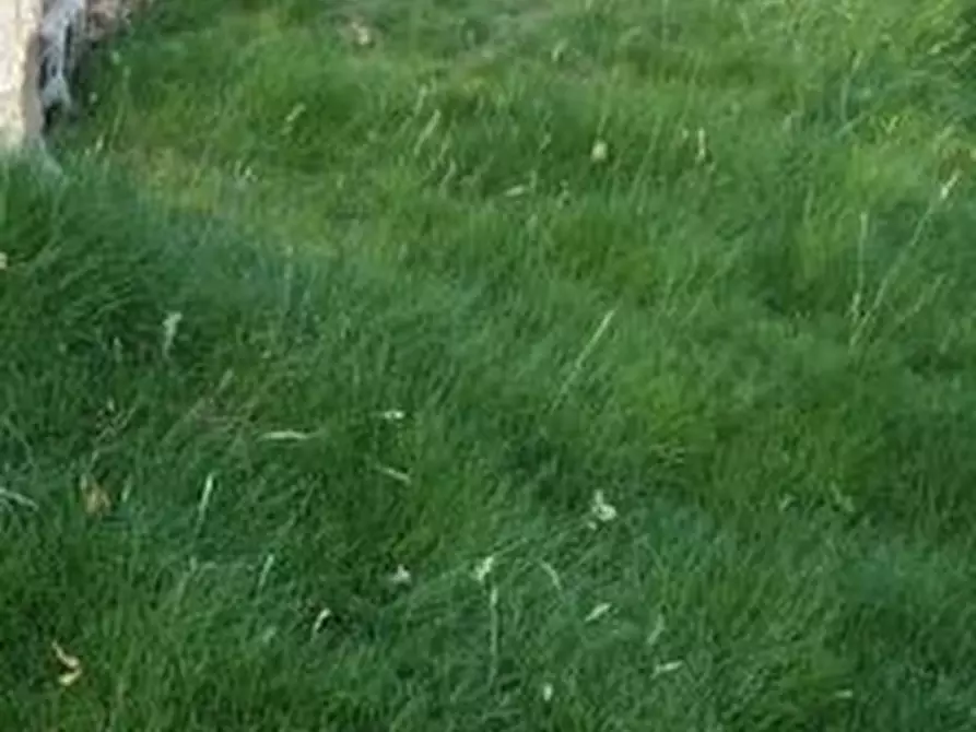 Immagine 2 di Terreno industriale in vendita  in via bientina a Altopascio