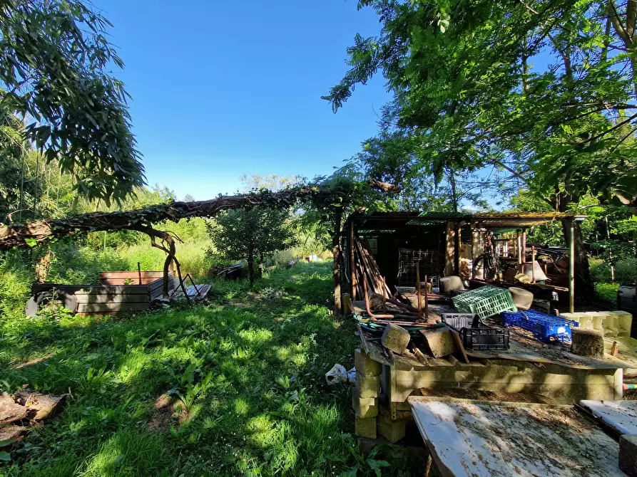 Immagine 2 di Terreno agricolo in vendita  in Via Giovanni Fattori a San Giuliano Terme
