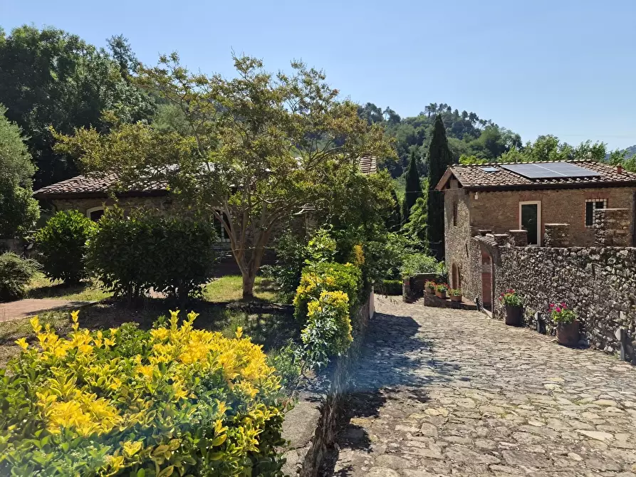 Immagine 71 di Casa vacanze in affitto  in Località Mencone 8 a Pescaglia