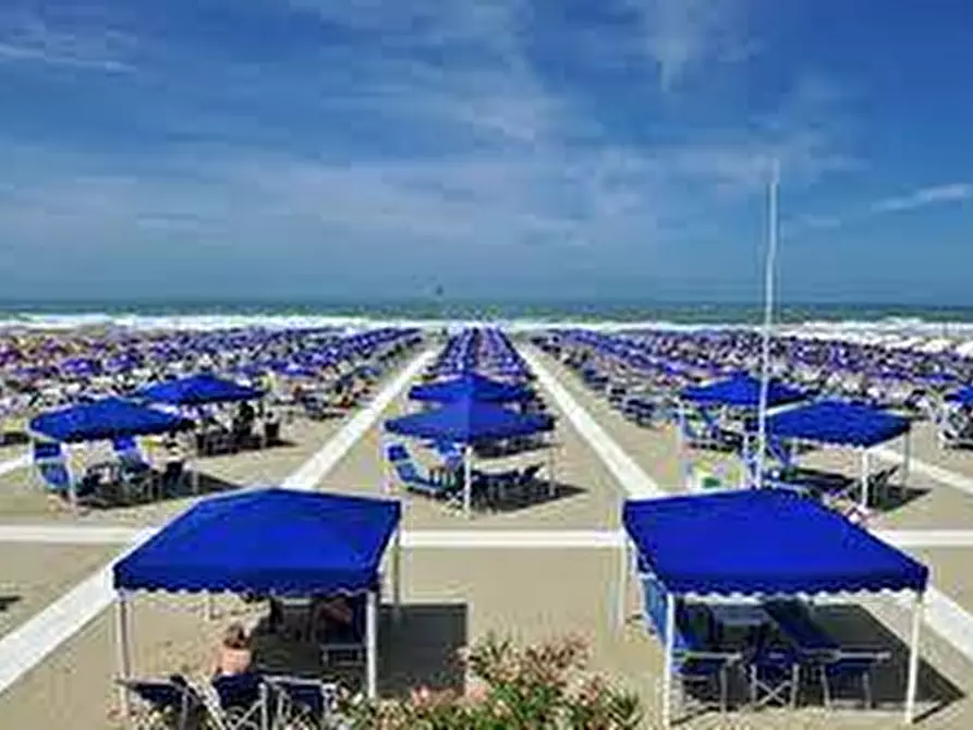 Immagine 6 di Attività commerciale in vendita  in Viale Regina Margherita a Viareggio