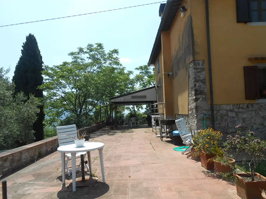 Immagine 23 di Rustico / casale in vendita  in Via per massaciuccoli a San Giuliano Terme