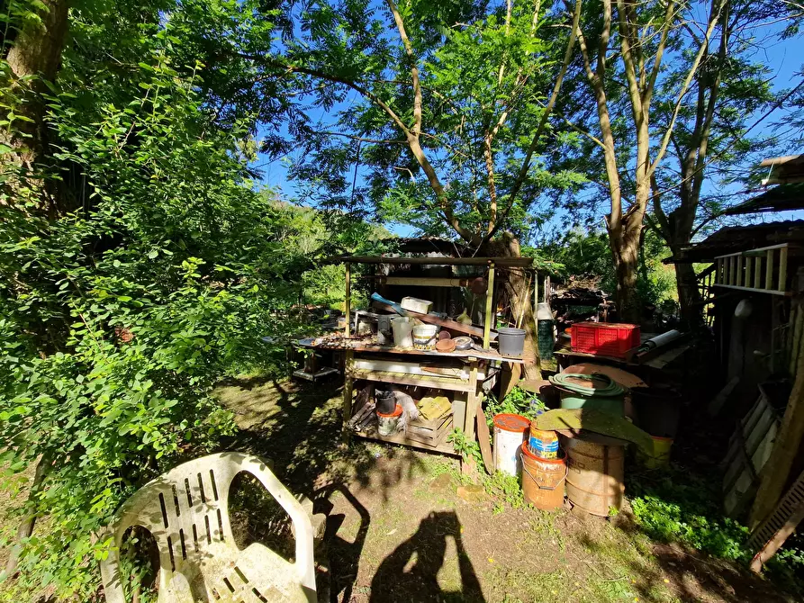 Immagine 4 di Terreno agricolo in vendita  in Via Giovanni Fattori a San Giuliano Terme