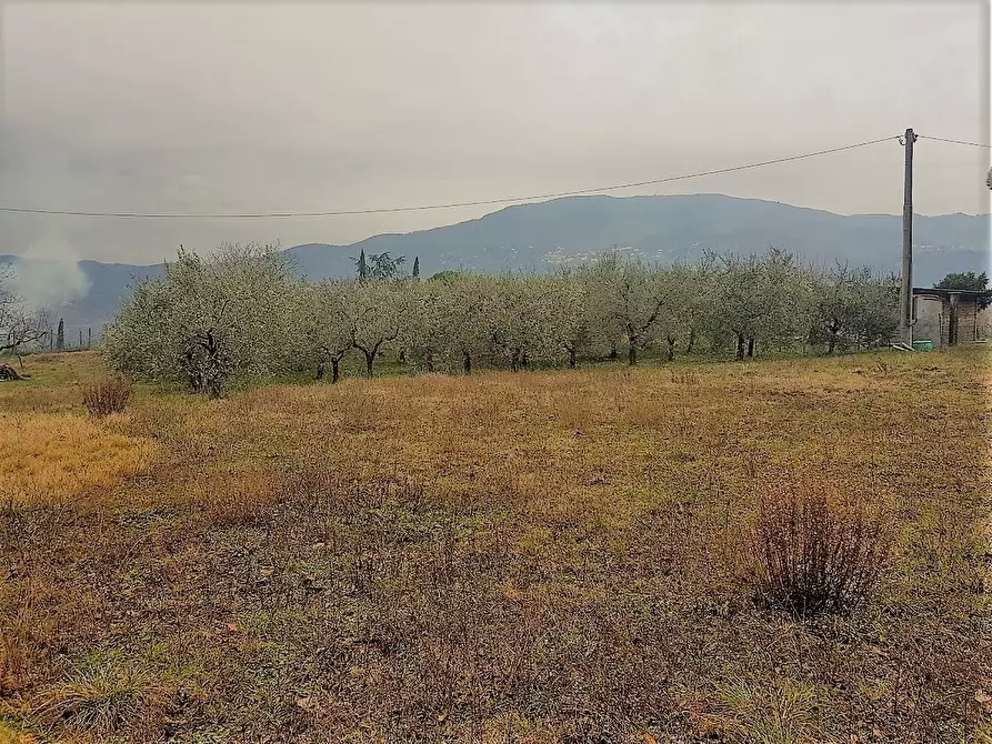 Immagine 3 di Rustico / casale in vendita  in del castellaccio a Lucca