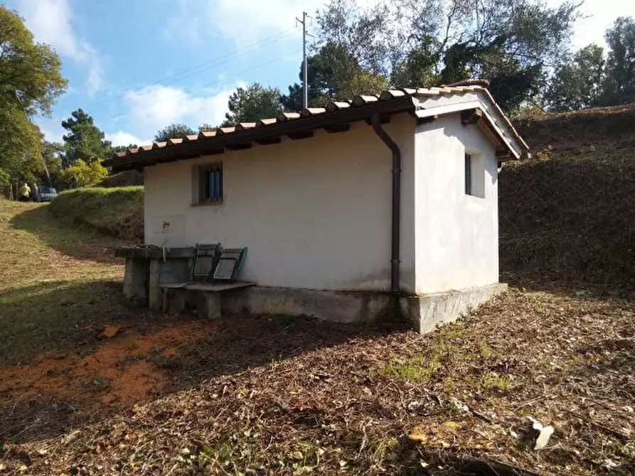 Immagine 21 di Terreno agricolo in vendita  in via di caroggia a Lucca