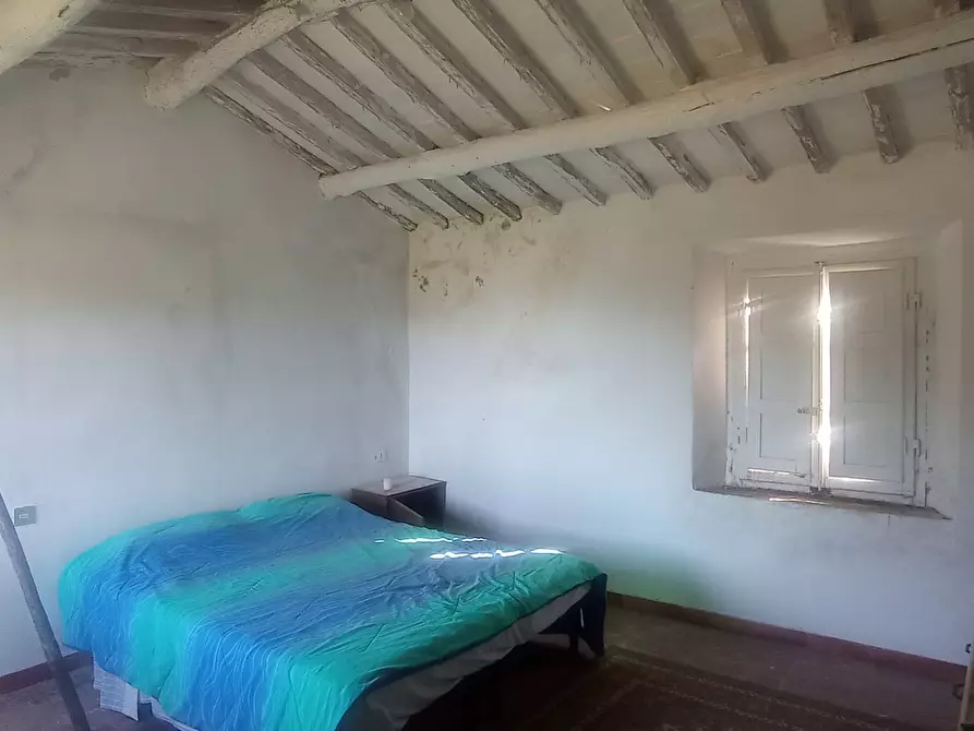 Immagine 14 di Rustico / casale in vendita  a Massarosa