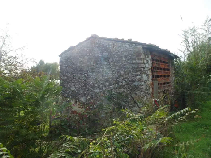 Immagine 2 di Rustico / casale in vendita  a Massarosa