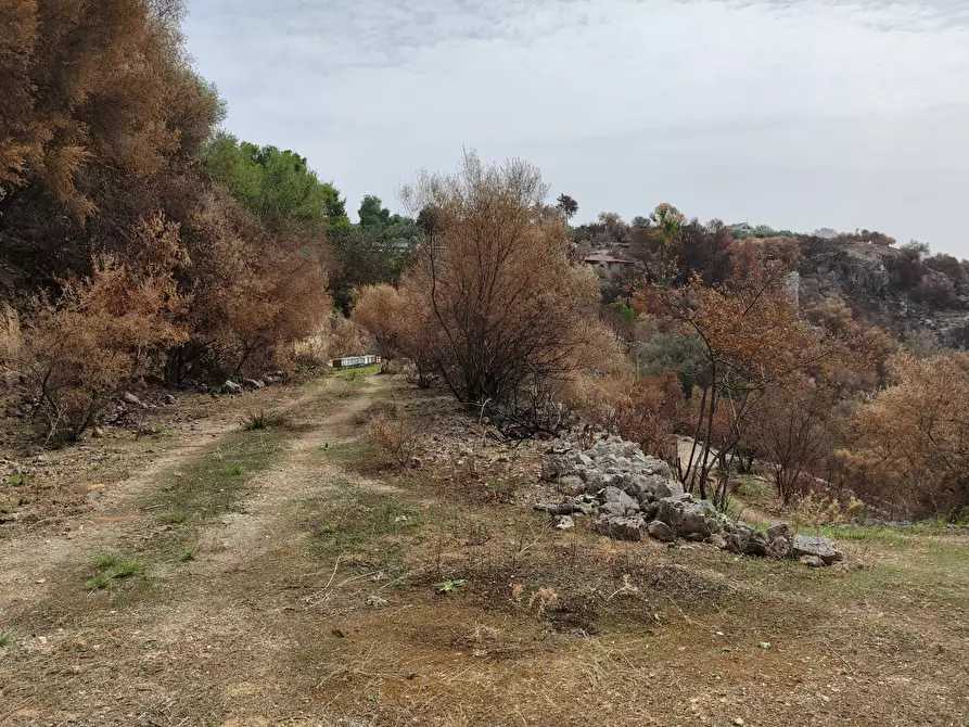 Immagine 9 di Terreno agricolo in vendita  a Melilli