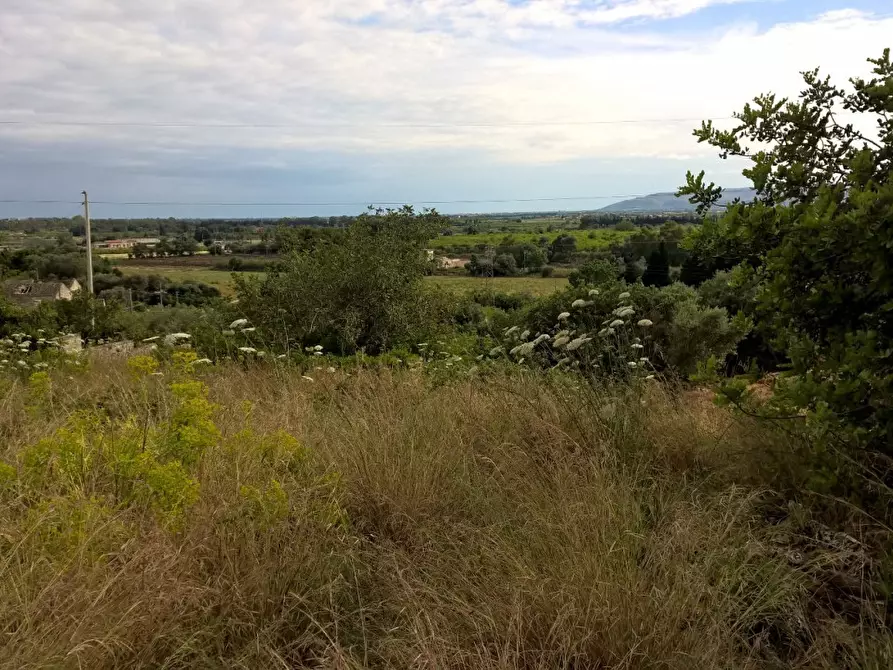 Immagine 4 di Terreno agricolo in vendita  a Siracusa