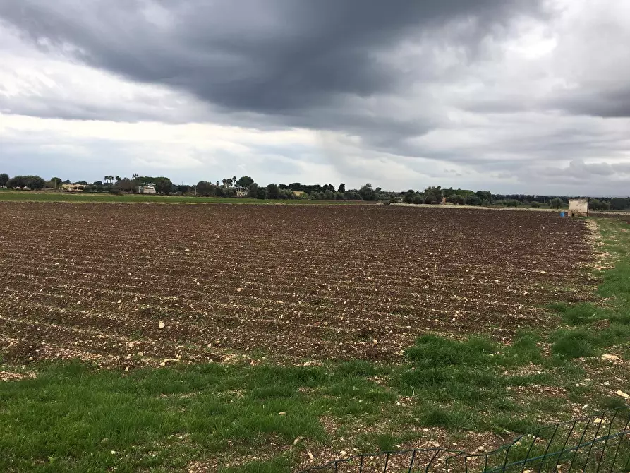 Immagine 3 di Terreno agricolo in vendita  a Siracusa