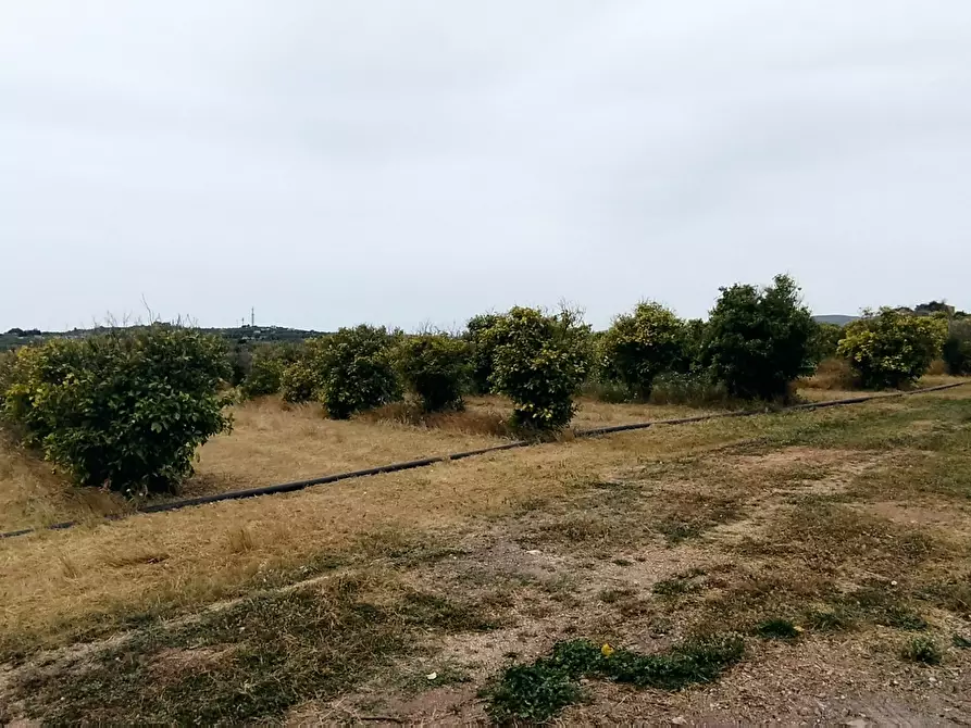 Immagine 4 di Terreno agricolo in vendita  in CONTRADA FALCONARA a Noto