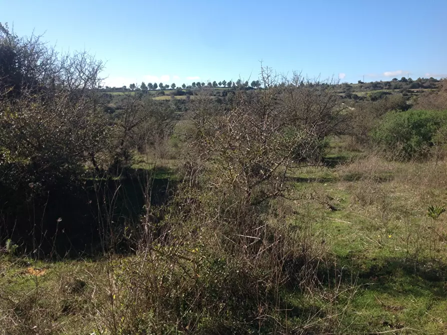 Immagine 4 di Terreno agricolo in vendita  a Siracusa