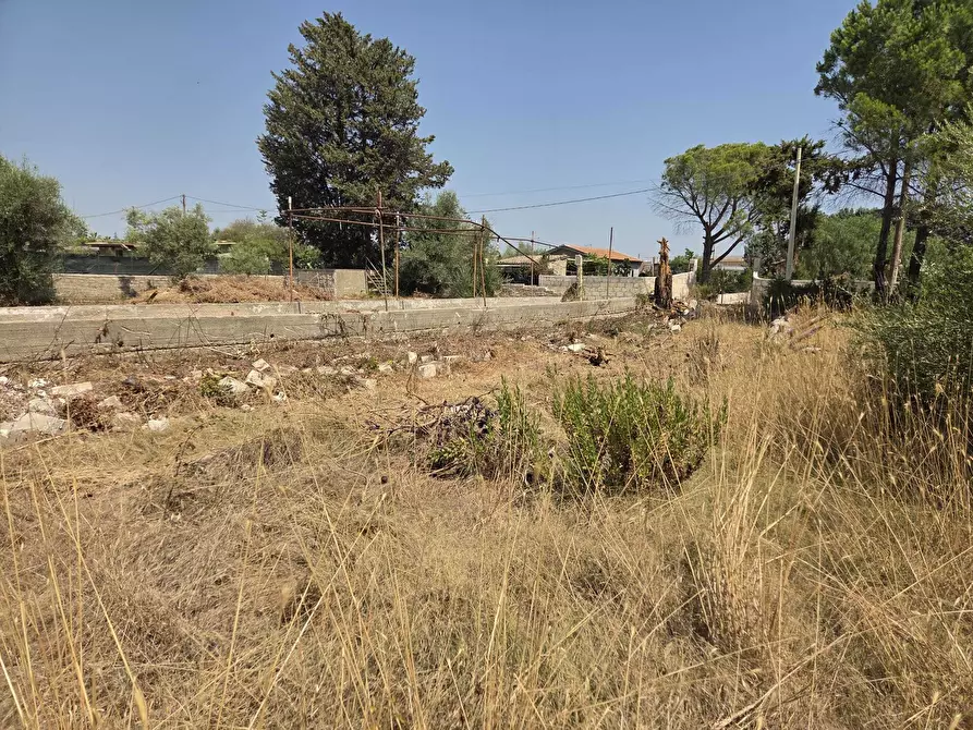 Immagine 8 di Terreno agricolo in vendita  a Siracusa