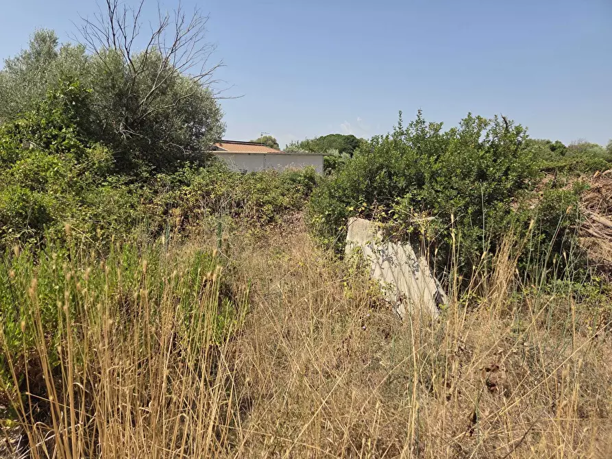Immagine 11 di Terreno agricolo in vendita  a Siracusa