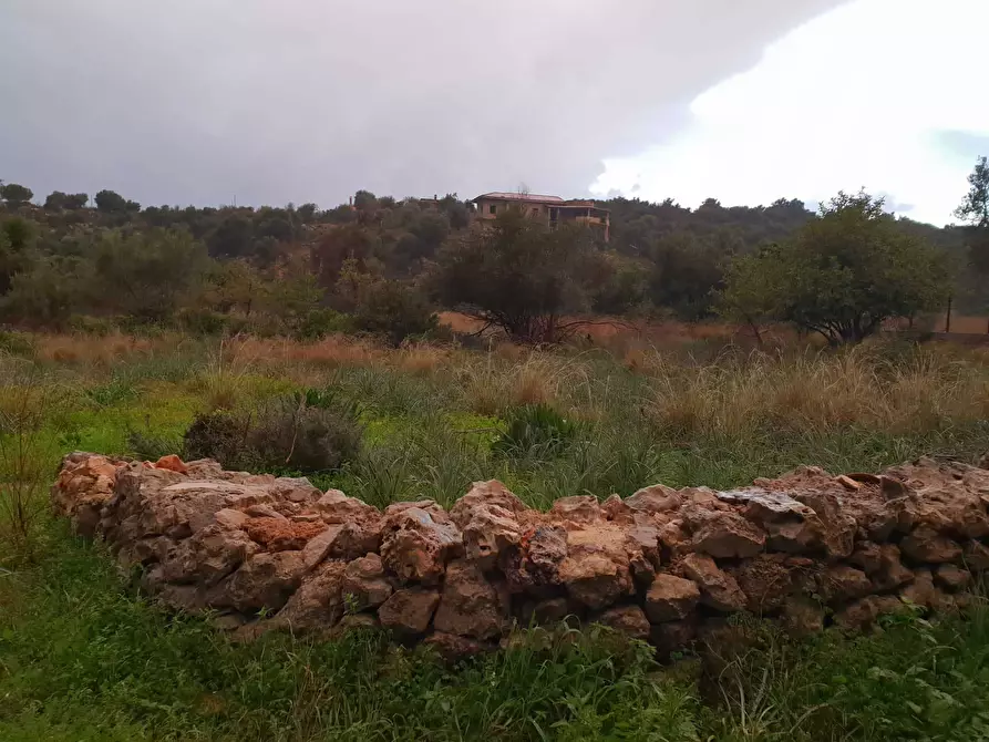 Immagine 9 di Terreno agricolo in vendita  a Siracusa