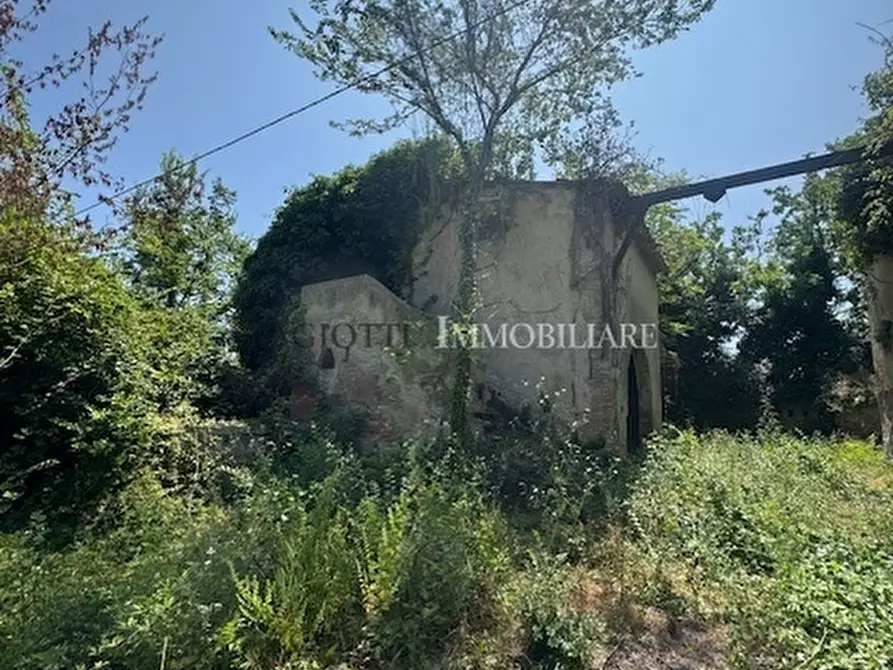 Immagine 8 di Rustico / casale in vendita  a Livorno