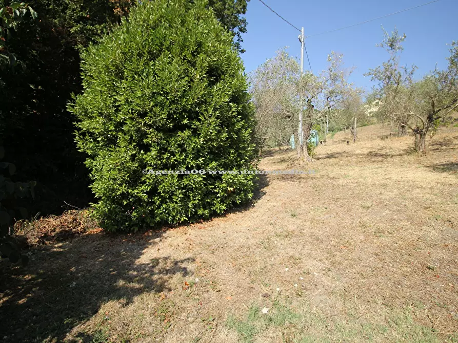 Immagine 27 di Appartamento in vendita  a Arcola