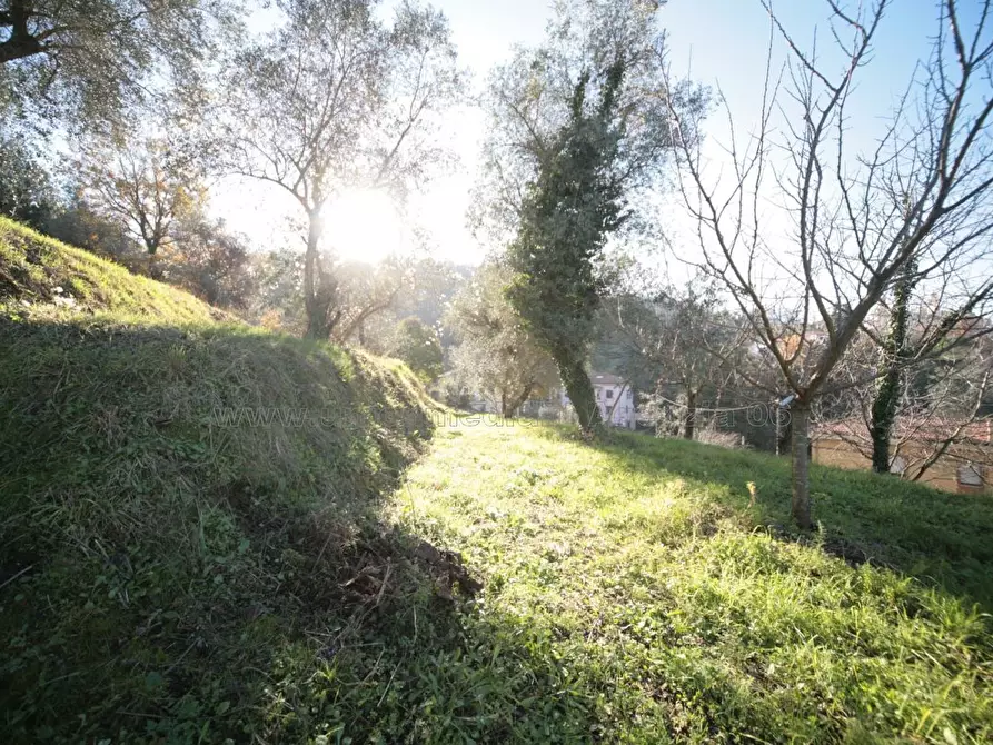 Immagine 25 di Casa indipendente in vendita  a Arcola