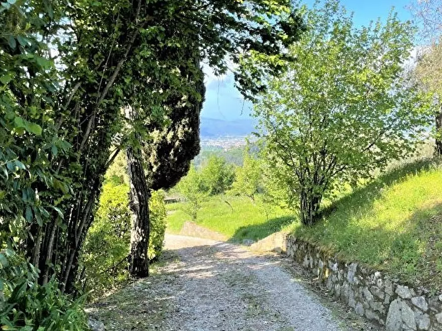 Immagine 20 di Villa in vendita  in via della maestà a Fosdinovo