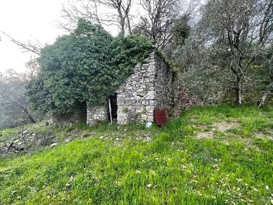 Immagine 12 di Casa indipendente in vendita  a Vezzano Ligure