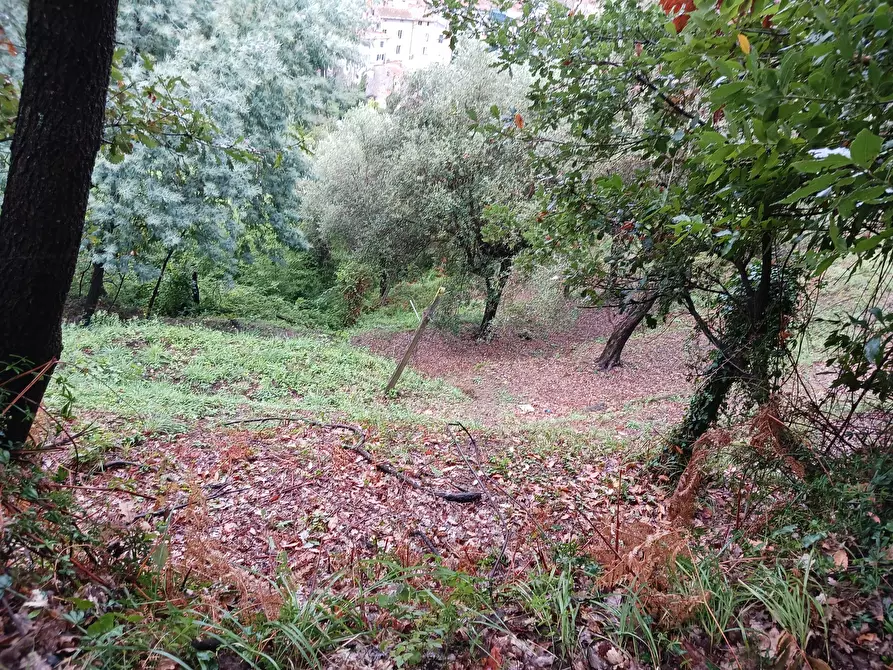 Immagine 53 di Casa indipendente in vendita  a Arcola