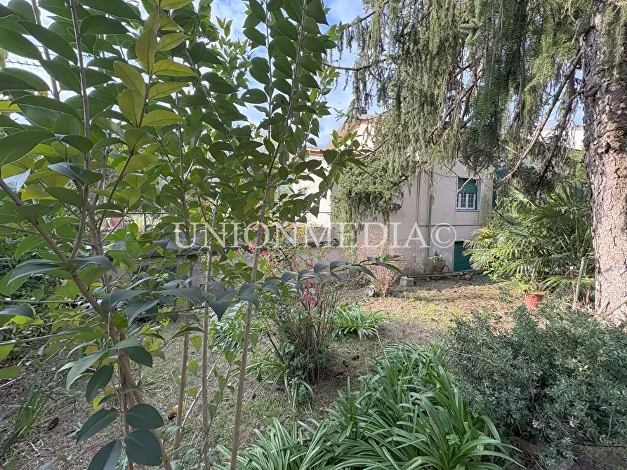 Immagine 7 di Casa semindipendente in vendita  in Viale Vittorio Alfieri 26 a Sarzana