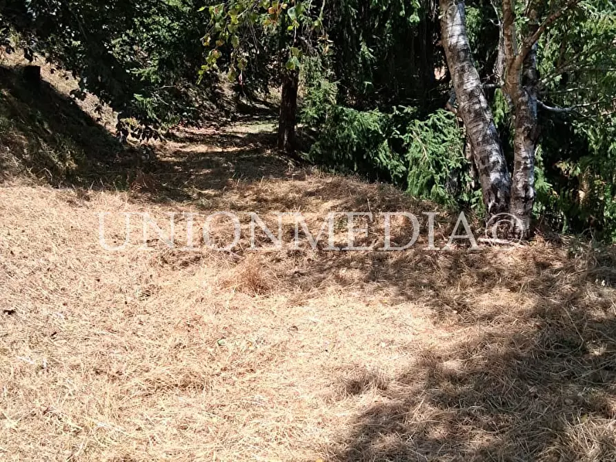 Immagine 17 di Terreno edificabile in vendita  a Arcola