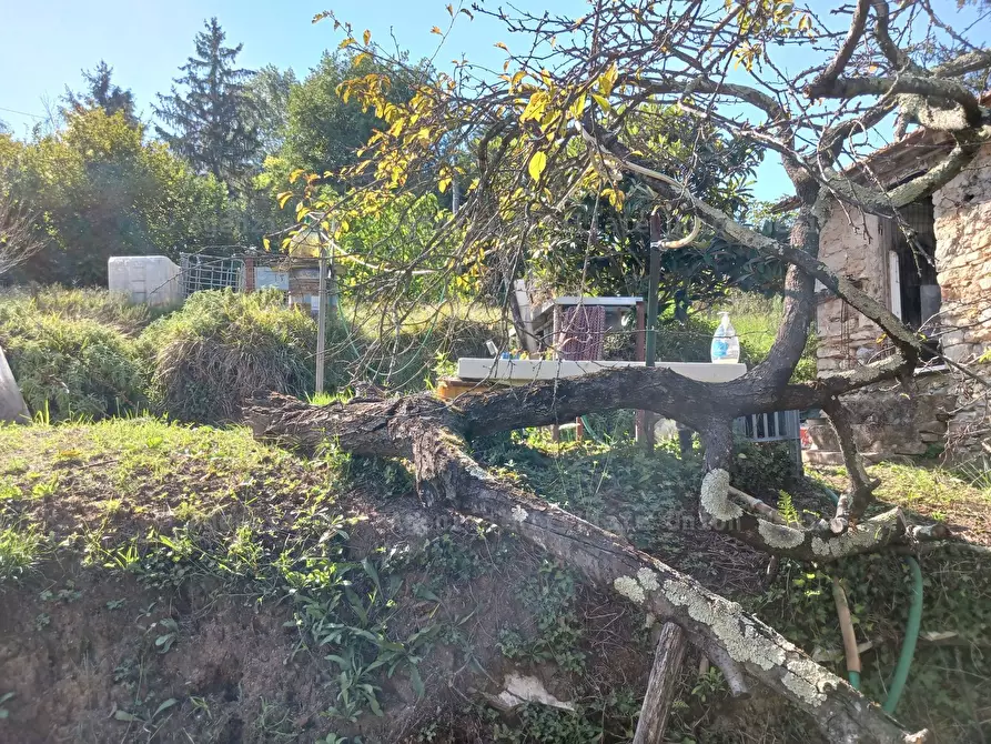 Immagine 6 di Rustico / casale in vendita  a Arcola