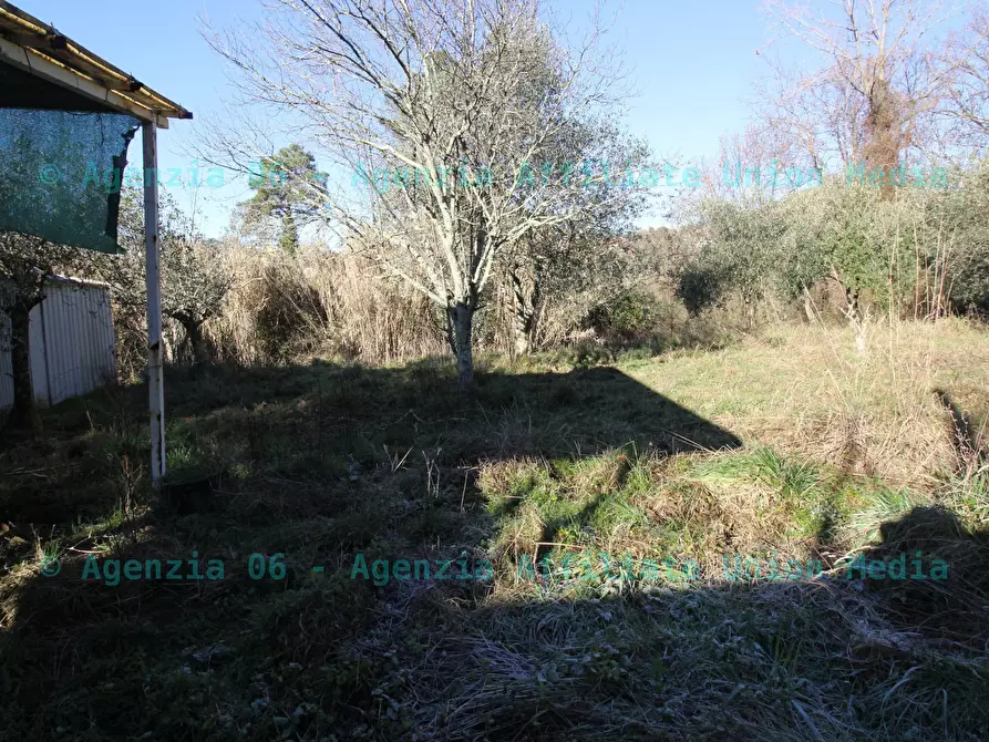 Immagine 12 di Terreno edificabile in vendita  a Bolano