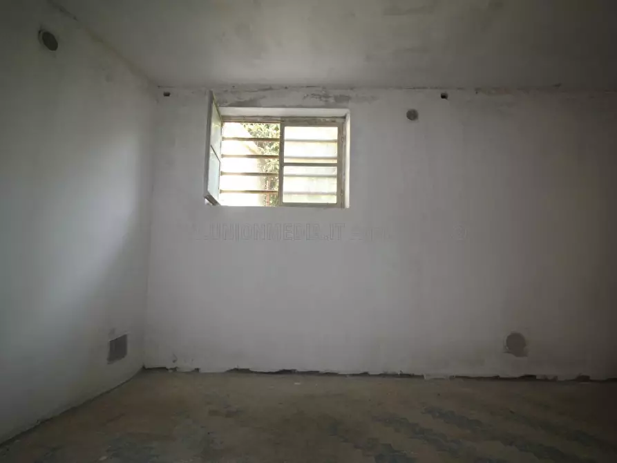 Immagine 12 di Magazzino in affitto  a Arcola