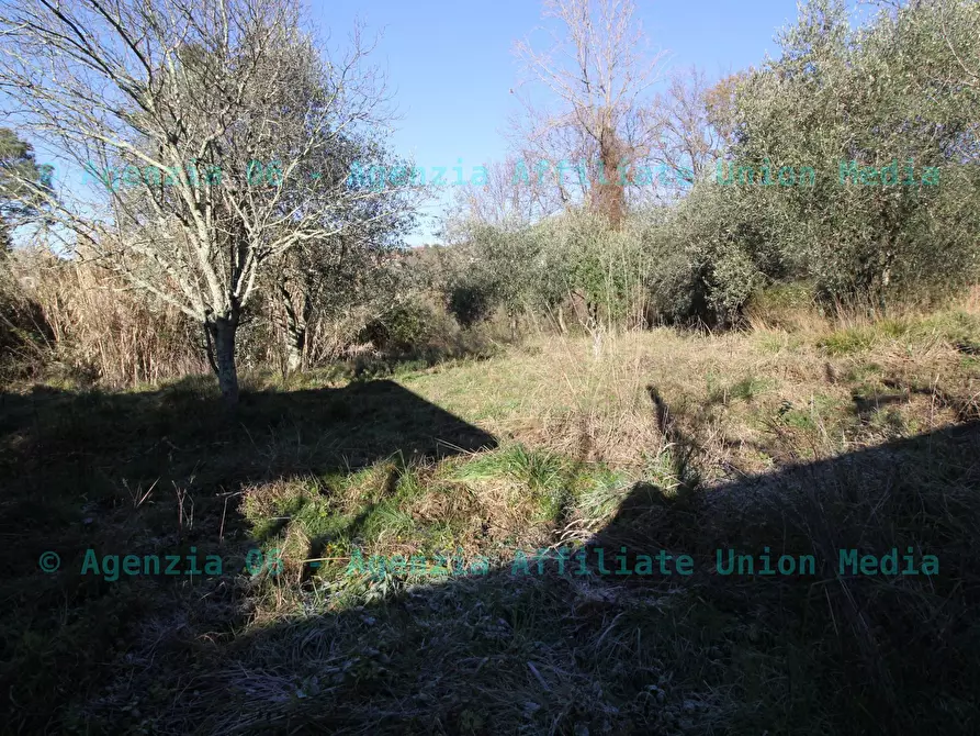 Immagine 11 di Terreno edificabile in vendita  a Bolano