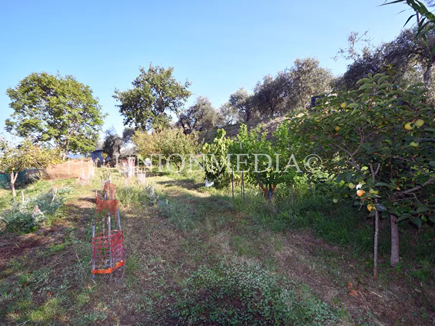 Immagine 37 di Casa indipendente in vendita  in Via boccognano a Fosdinovo