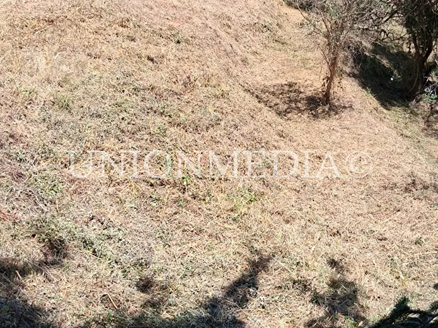 Immagine 15 di Terreno edificabile in vendita  a Arcola