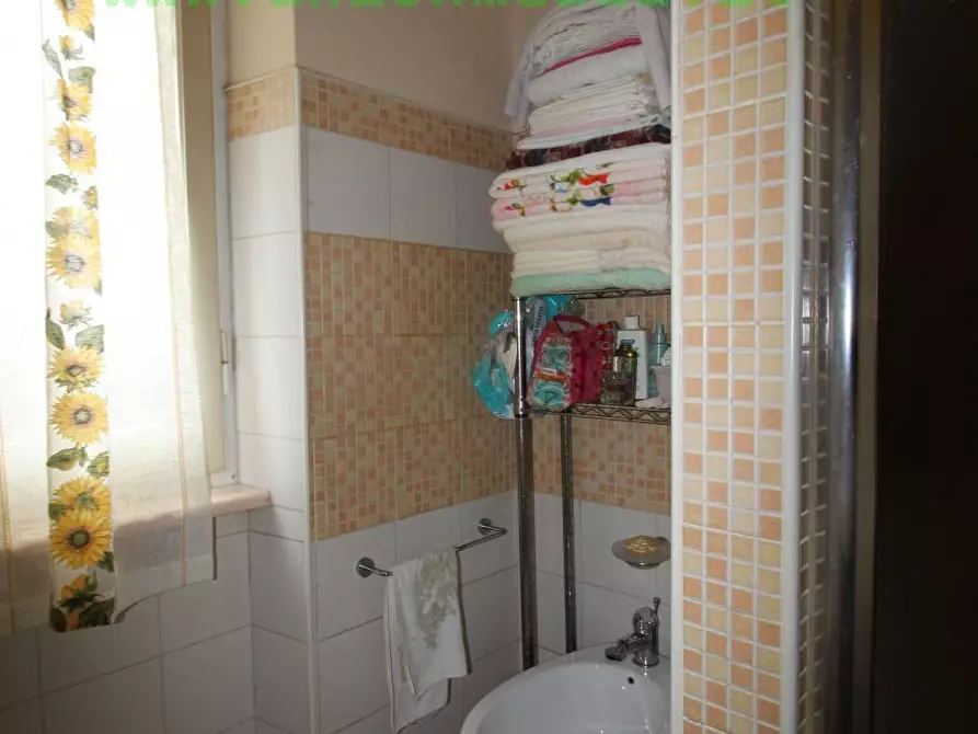 Immagine 17 di Casa indipendente in vendita  a Arcola