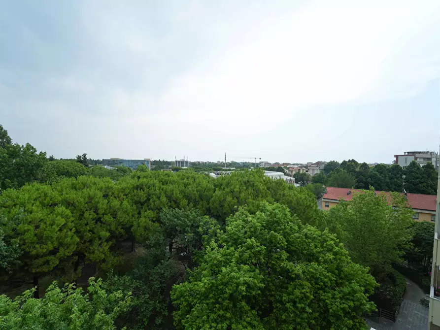 Immagine 34 di Quadrilocale in vendita  in Via dell'Edera 8 a Rimini