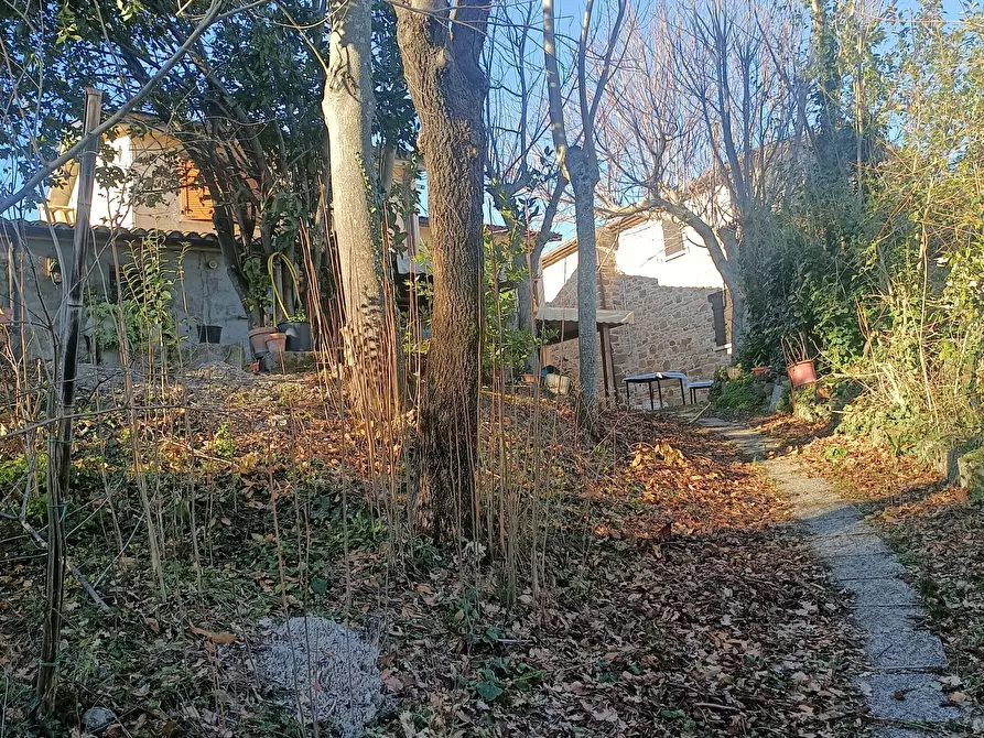 Immagine 15 di Rustico / casale in vendita  a Maiolo