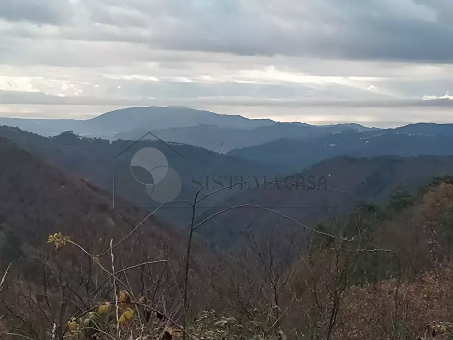 Immagine 32 di Rustico / casale in vendita  in Loc. Le Cassonare snc a Calice Al Cornoviglio