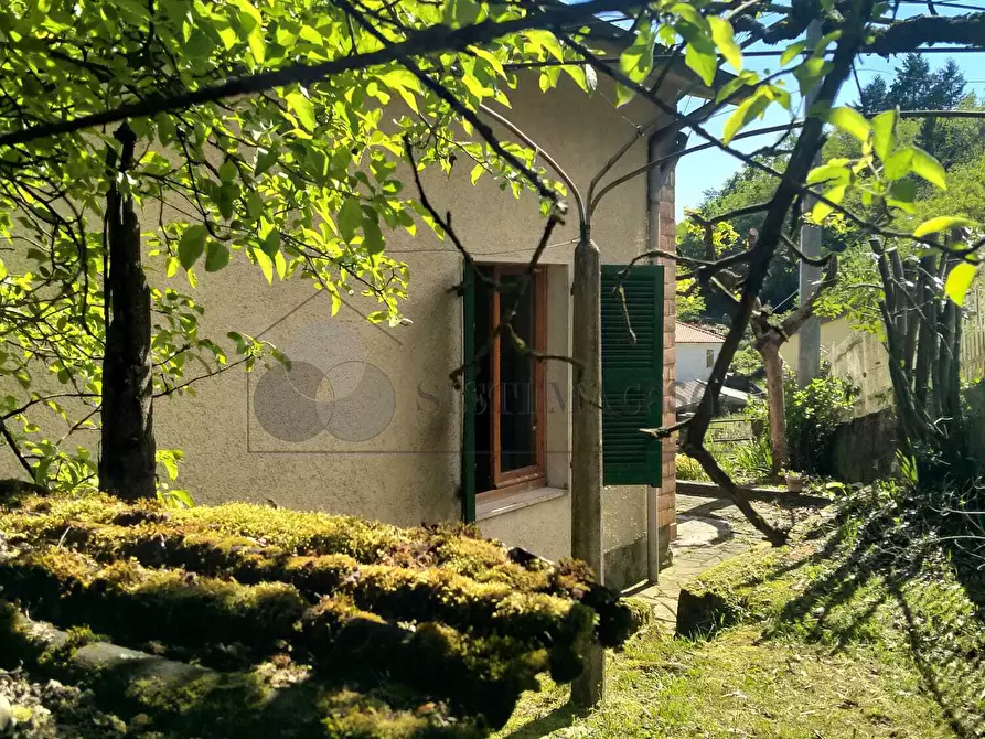 Immagine 14 di Casa indipendente in vendita  in Via Brigate Garibaldi 7 a Zignago
