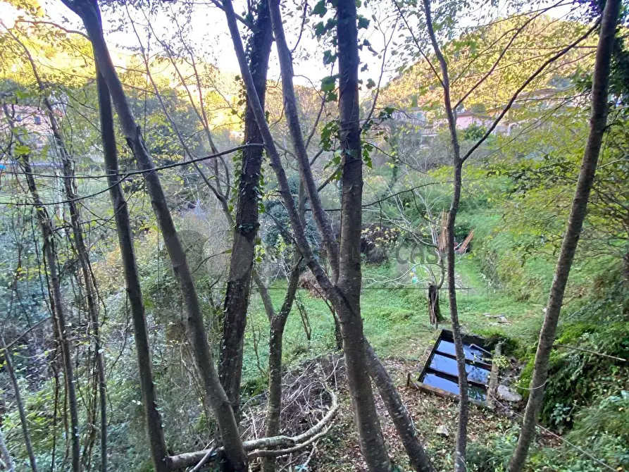 Immagine 55 di Casa indipendente in vendita  in Via Noceto 6 a Ortonovo