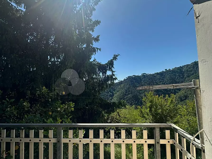 Immagine 15 di Casa indipendente in vendita  in Via San Lorenzo 20 a Follo