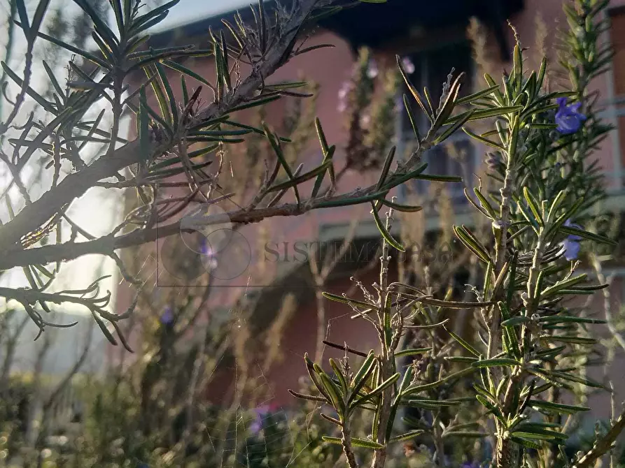 Immagine 18 di Casa indipendente in vendita  a Sarzana
