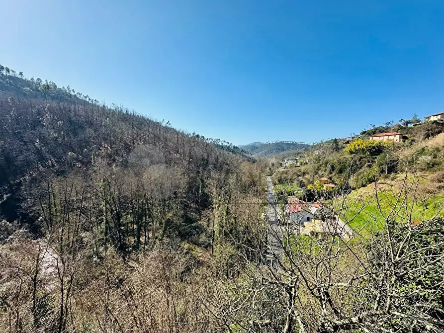 Immagine 13 di Porzione di casa in vendita  a Follo