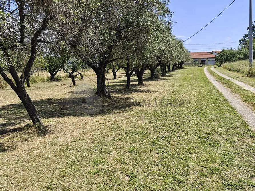 Immagine 22 di Casa indipendente in vendita  a Sarzana