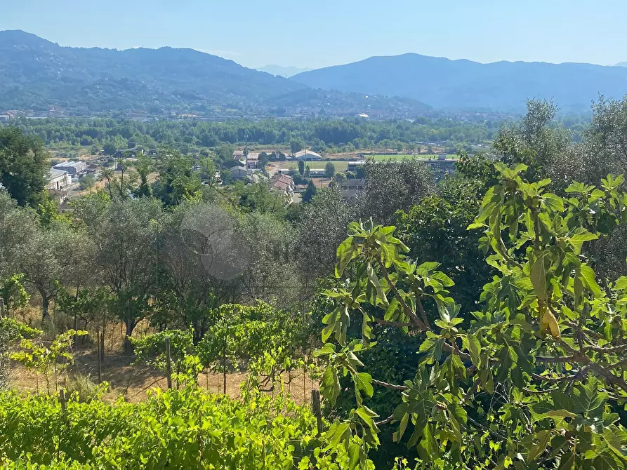 Immagine 19 di Casa indipendente in vendita  a Follo