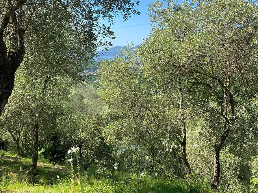 Immagine 42 di Villa in vendita  in Via Fratelli Aristide e Alduino Castellini 8 a Vezzano Ligure