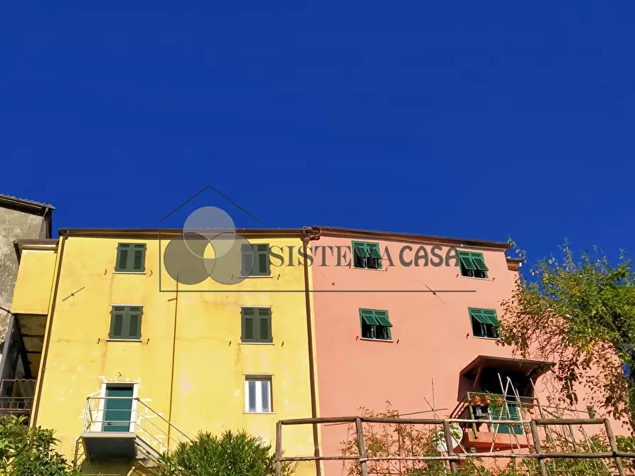 Immagine 6 di Rustico / casale in vendita  in Via del Castello snc a Fivizzano