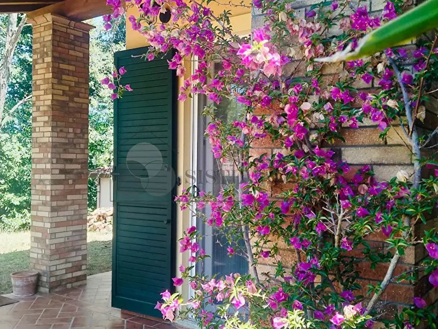 Immagine 62 di Villa in vendita  a Castelnuovo Magra