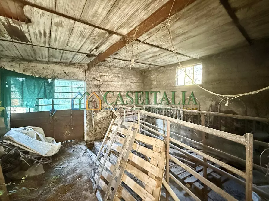 Immagine 23 di Terratetto in vendita  in Via Viassa 2 a Almese