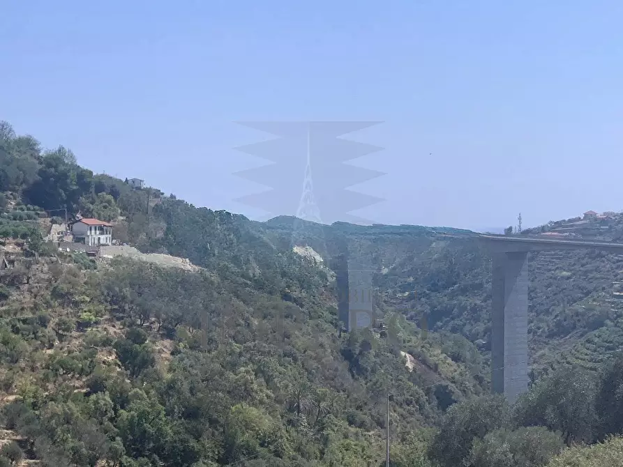 Immagine 15 di Villa in vendita  in via silvio peglio snc a Bordighera