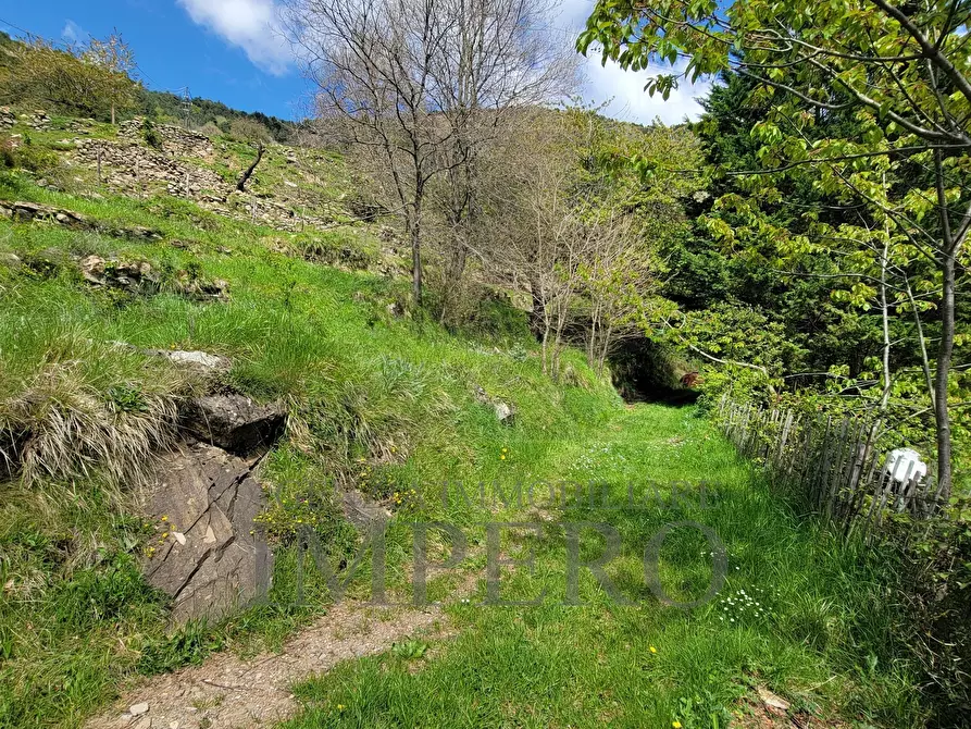 Immagine 54 di Casa indipendente in vendita  in Strada Provinciale 65 65 a Castel Vittorio