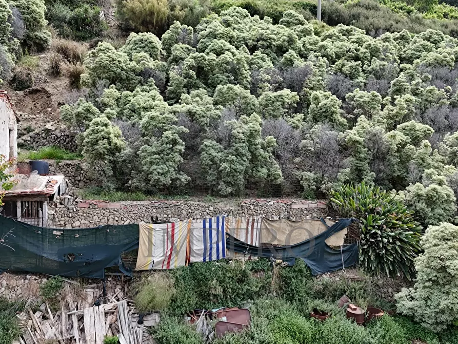 Immagine 33 di Terreno agricolo in vendita  in Via Anacleto Hughes 22/A a Ventimiglia